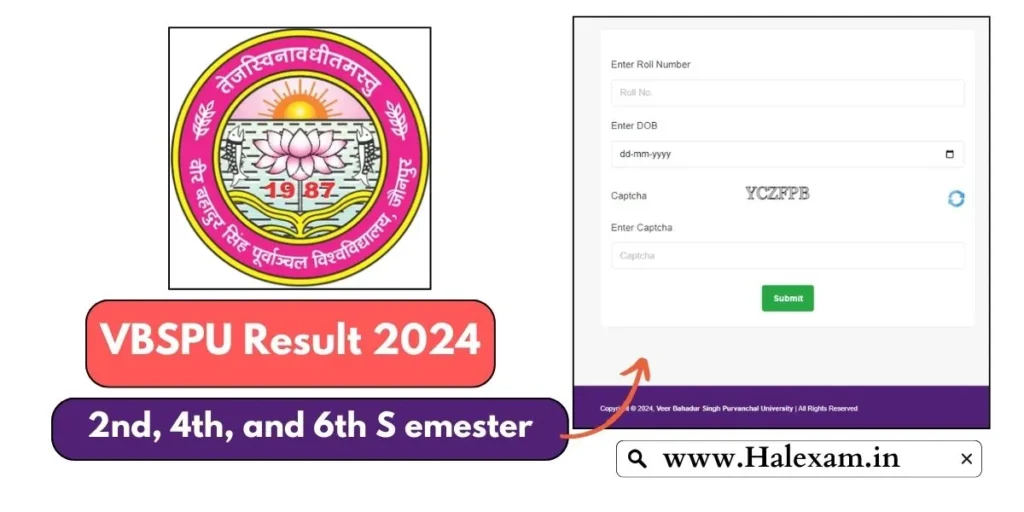 vbspu-result-2024-check-2nd-4th-6th-semester-online-vbspuresult-org-in